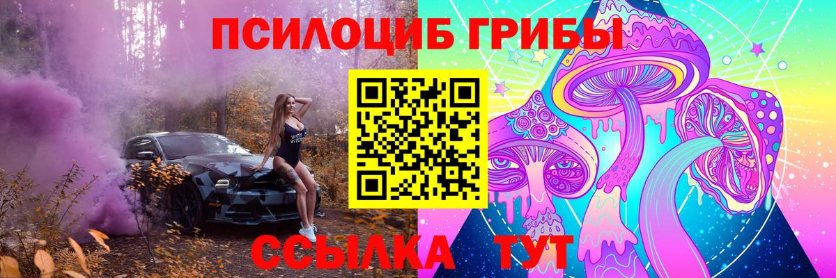 Кимры  Псилоцибиновые грибы MAGIC MUSHROOMS  Вход с VPN 